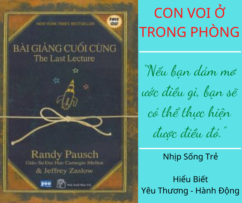 CON VOI Ở TRONG PHÒNG