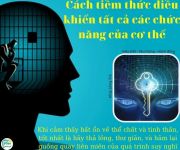 CÁCH TIỀM THỨC ĐIỀU KHIỂN TẤT CẢ CHỨC NĂNG CỦA CƠ THỂ