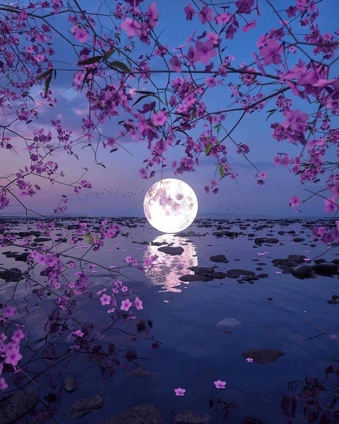 MATSUO BASHO BẬC ĐẠI SƯ THƠ HAIKU