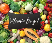 VITAMIN LÀ GÌ?