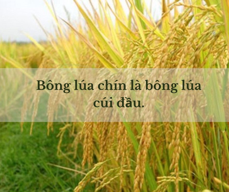 KHIÊM TỐN