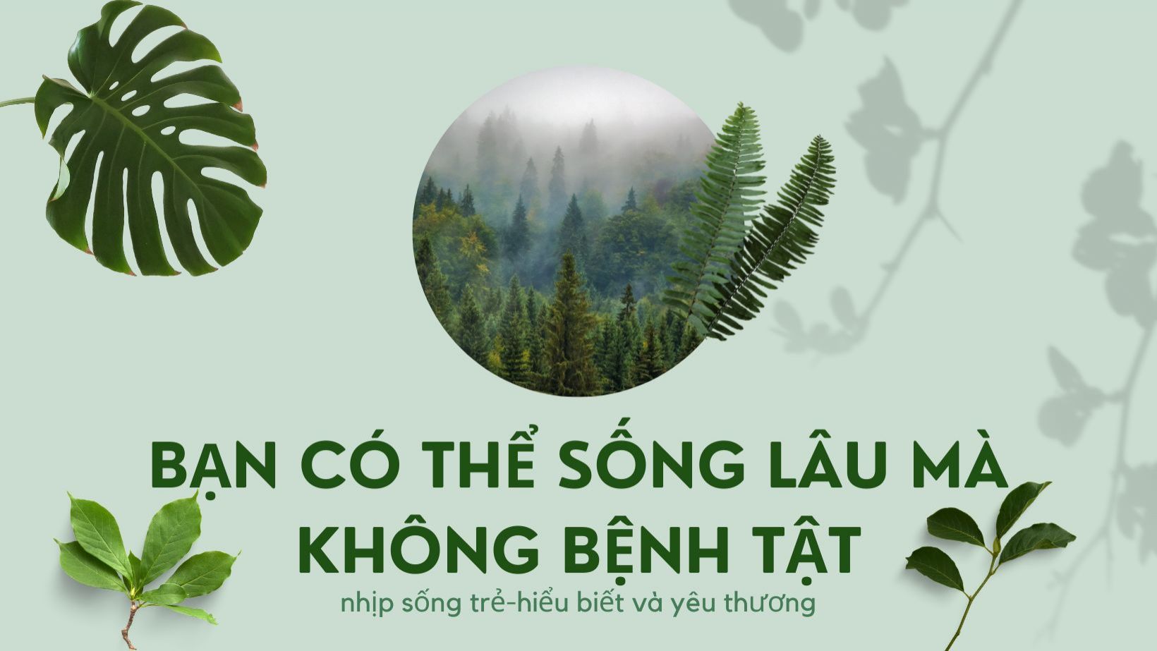 BẠN CÓ THỂ SỐNG LÂU MÀ KHÔNG BỆNH TẬT