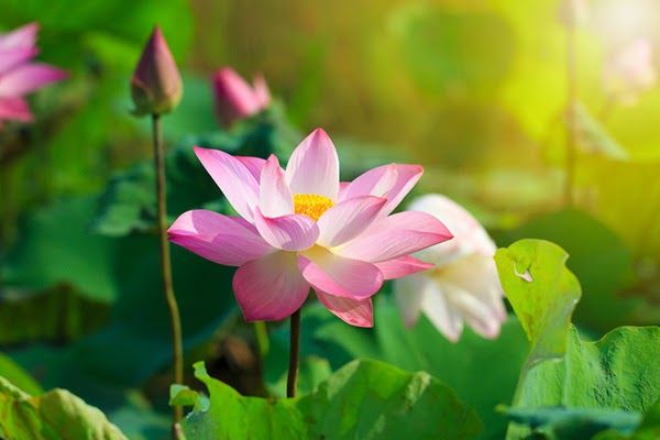 ​​​​​​​NƠI NÀO CÓ NGUYÊN NHÂN, NƠI ĐÓ CÓ SỰ KẾT THÚC